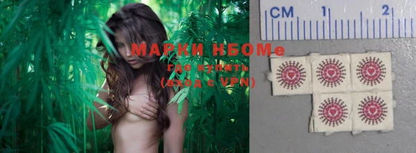 соль ск Дмитриев