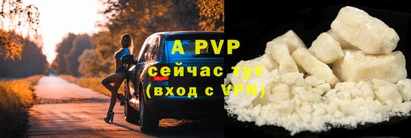 соль ск Дмитриев