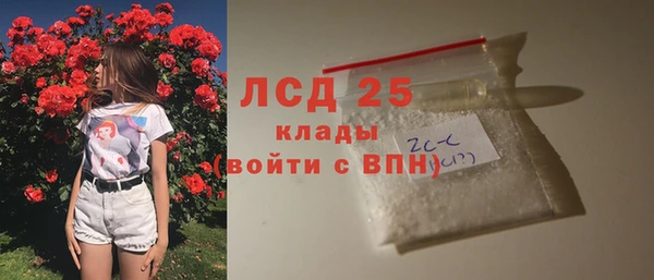 соль ск Дмитриев
