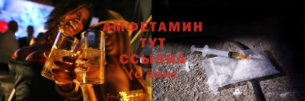 соль ск Дмитриев