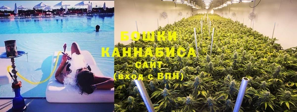 соль ск Дмитриев
