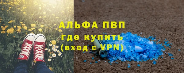 соль ск Дмитриев