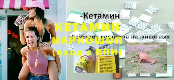 соль ск Дмитриев