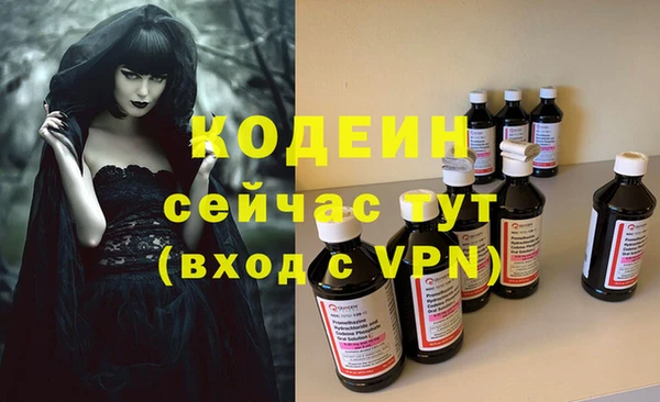 соль ск Дмитриев