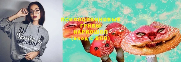 альфа пвп Дмитровск