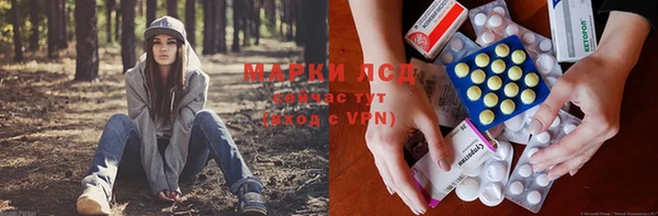 прущая мука Дмитров